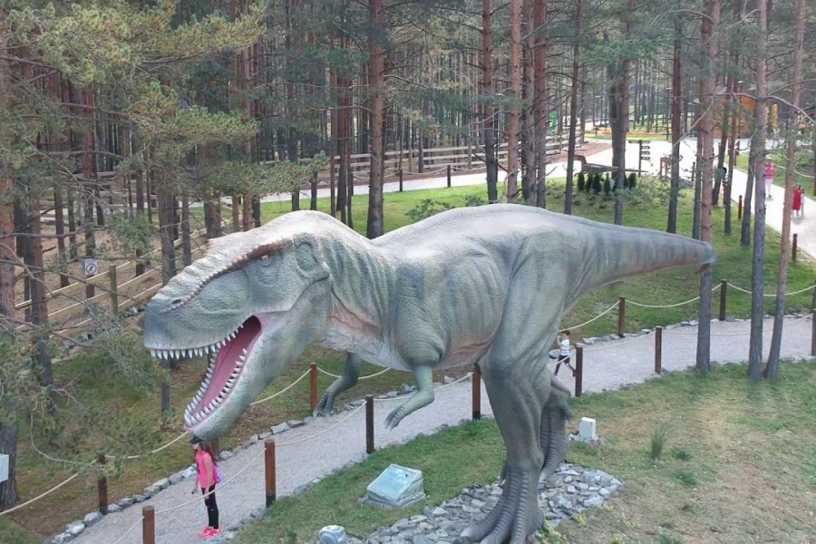 Dino park